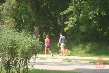trail-dog-walking-67