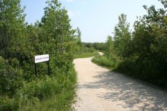 jansson-trail-22.jpg