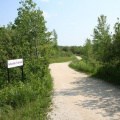 jansson-trail-22
