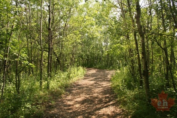 jansson-trail-21