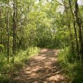 jansson-trail-21