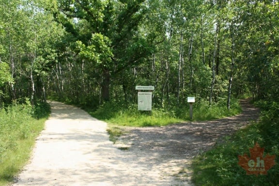 jansson-trail-20