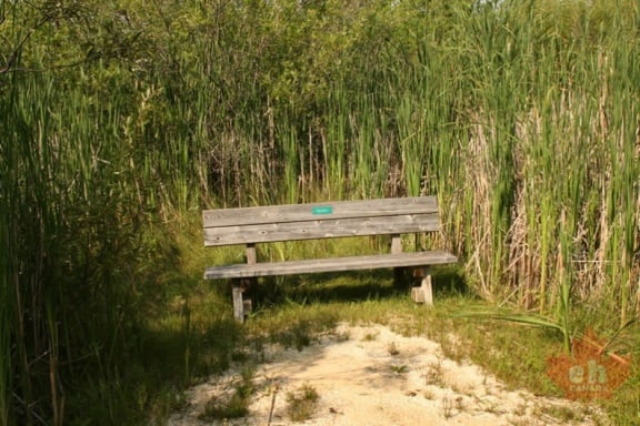 janice-trail-bench-38