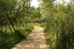 janice-trail-39