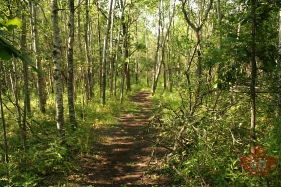 janice-trail-33