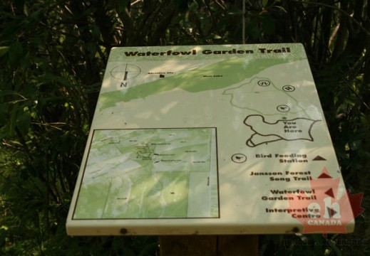 janice-trail-signs-35 (604 visits) janice-trail-signs-35