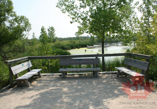 wetland-trail-bench-18 (481 visits) wetland-trail-bench-18
