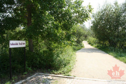 wetland-trail-07