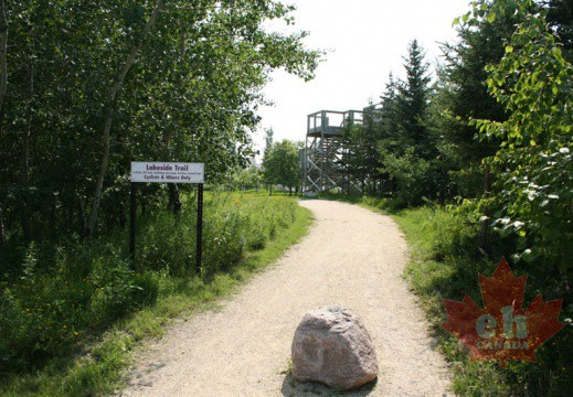 wetland-trailhead-79 (632 visits) wetland-trailhead-79