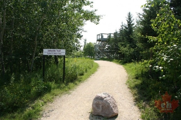wetland-trailhead-79