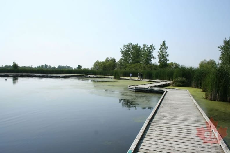wetland-trail-boardwalk-11