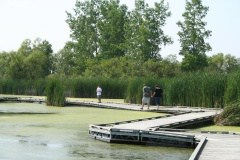 wetland-trail-boardwalk-10