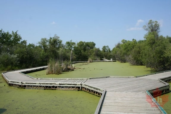 wetland-trail-boardwalk-09