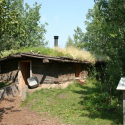 Bison Trail