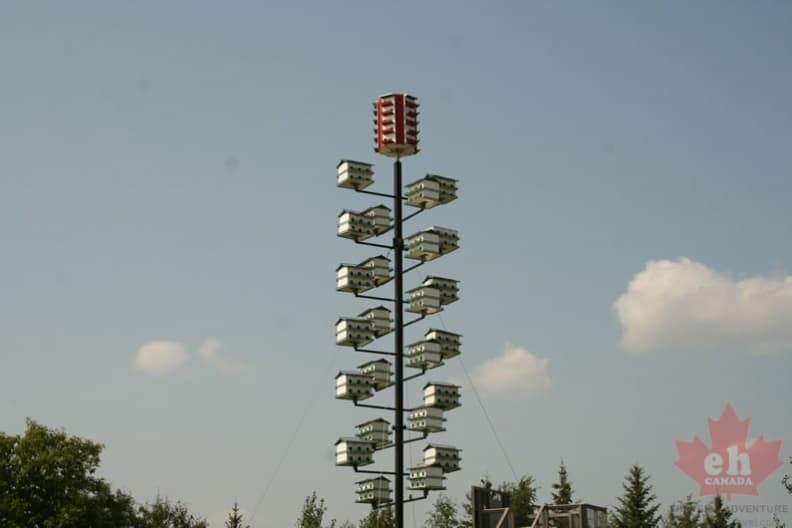 birdhouses-43.jpg