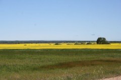 gilbert-plains-community-58