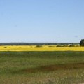 gilbert-plains-community-58