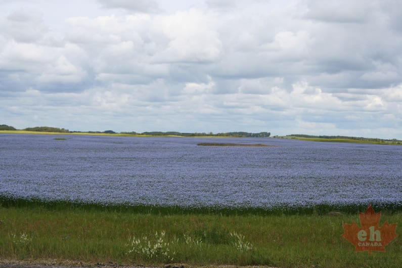 dauphin-lake-33
