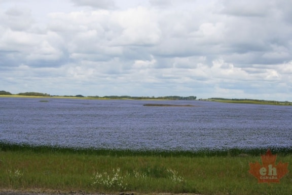dauphin-lake-33