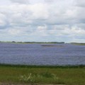 dauphin-lake-33
