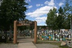 signpost-forest-001