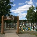 signpost-forest-001
