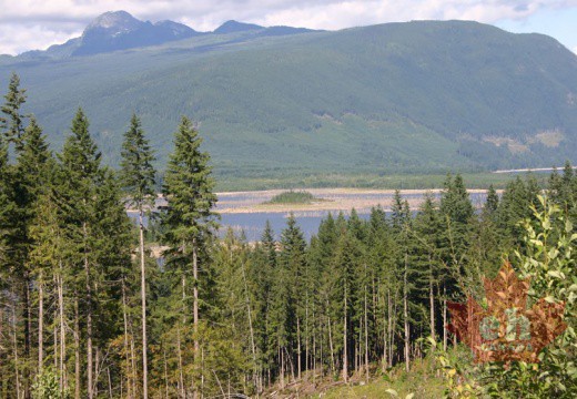 powell-forest canoe route horseshoe lake-001
