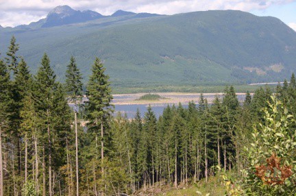 powell-forest canoe route horseshoe lake-001