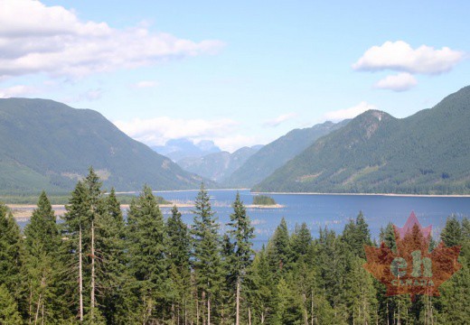 powell-forest canoe route horseshoe lake-002