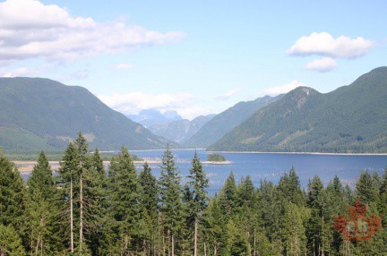 powell-forest canoe route horseshoe lake-002
