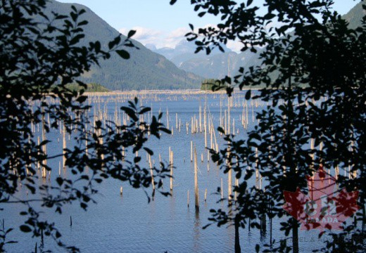powell-forest canoe route lois-Lake-001