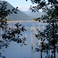 powell-forest canoe route lois-Lake-001