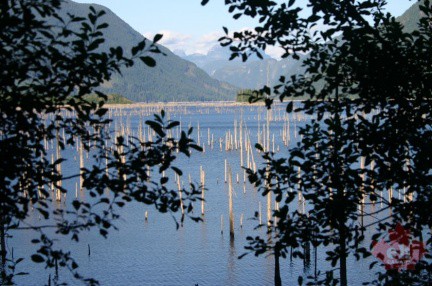 powell-forest canoe route lois-Lake-001