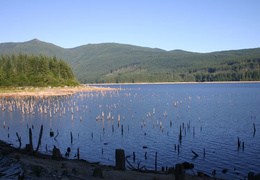 powell-forest canoe route lois-Lake-003 (309 visits) powell-forest canoe route lois-Lake-003