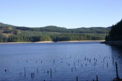 powell-forest_canoe_route_lois-Lake-004.jpg