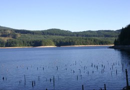 powell-forest canoe route lois-Lake-004 (298 visits) powell-forest canoe route lois-Lake-004
