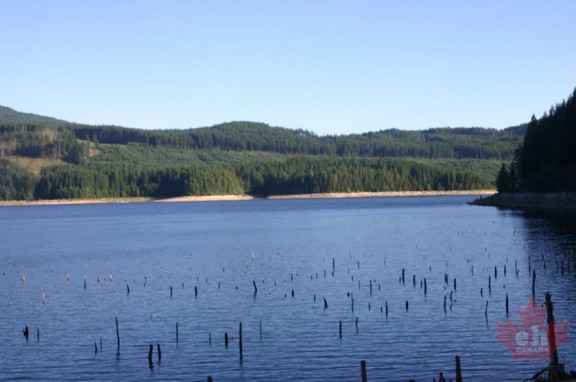 powell-forest canoe route lois-Lake-004
