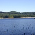powell-forest canoe route lois-Lake-004