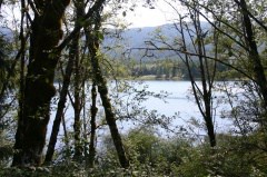 powell-forest canoe route nanton lake
