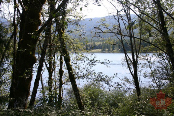 powell-forest canoe route nanton lake