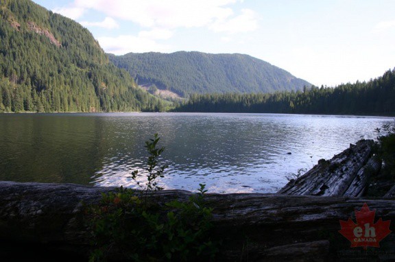powell-forest canoe route windsor lake-001