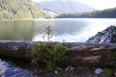 powell-forest_canoe_route_windsor_lake-002.jpg