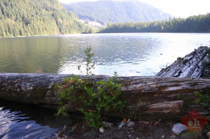 powell-forest canoe route windsor lake-002