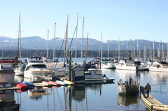 Boats at the Marina