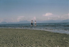 Williams Beach