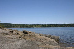 beachview.jpg