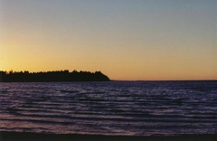 Orange Skies