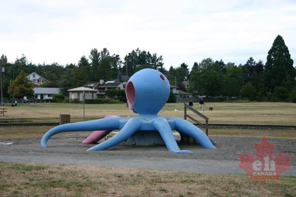 Giant Octopus (2204 visits) Giant Octopus
