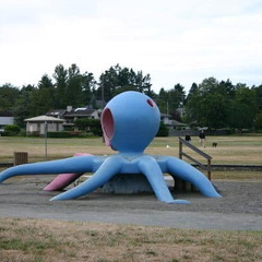 Giant Octopus (2103 visits) Giant Octopus