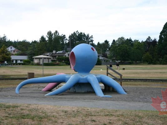 Giant Octopus (2121 visits) Giant Octopus